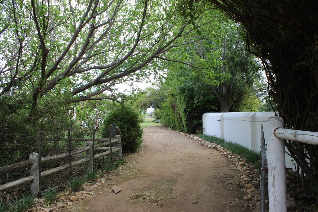 Acacia Cottage 艾伯特王子镇 外观 照片