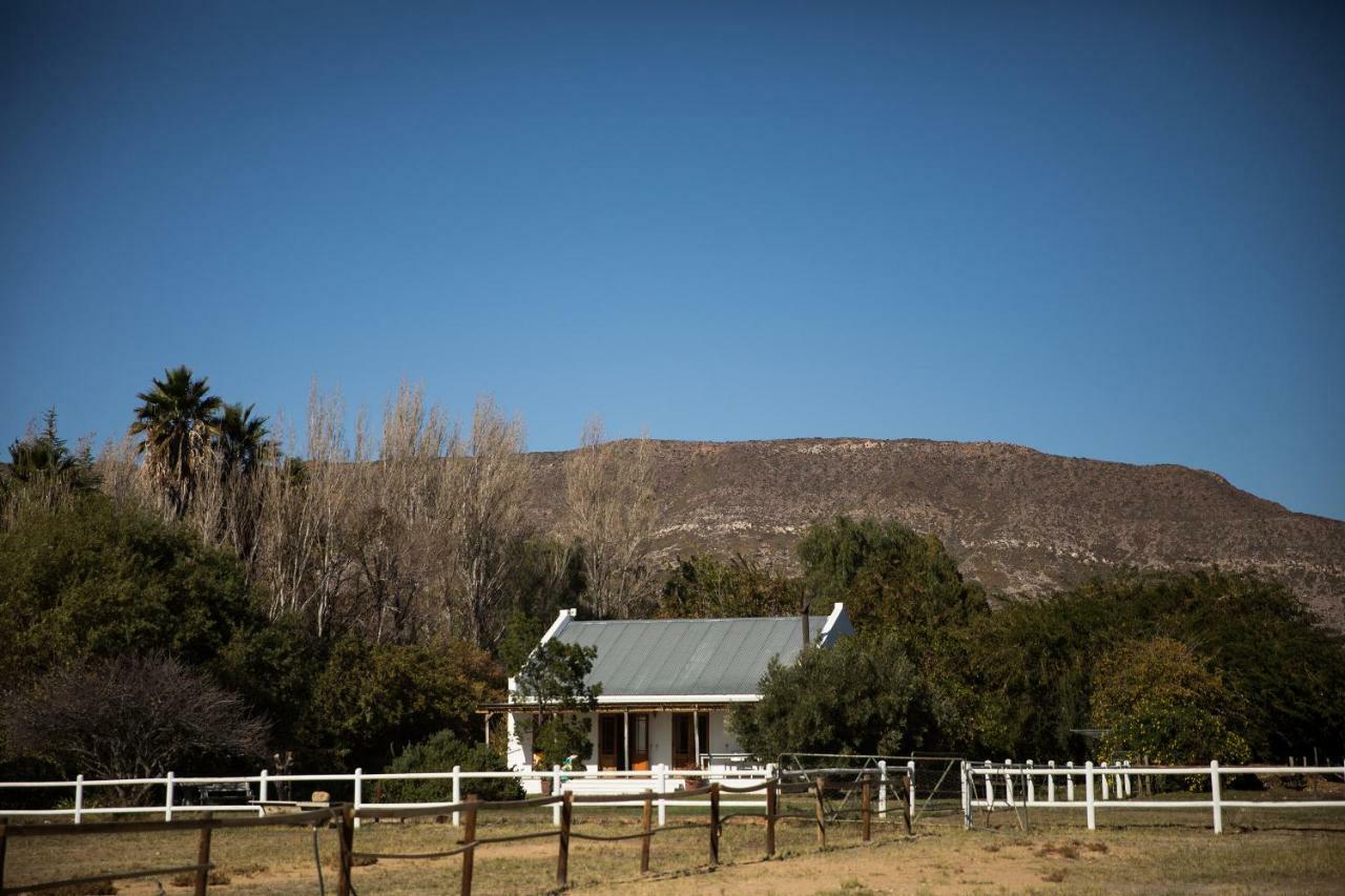 Acacia Cottage 艾伯特王子镇 外观 照片